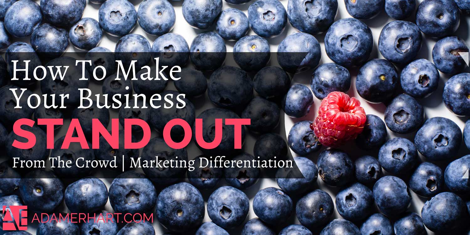 How To Make Your Business Stand Out From The Crowd - Adam Erhart